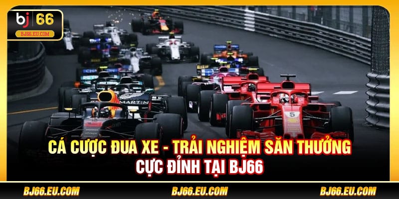 Cá cược đua xe