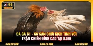 Đá gà C1 - C6