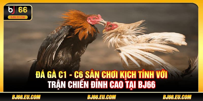 Đá gà C1 - C6
