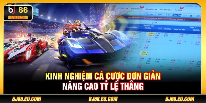 Kinh nghiệm cá cược đơn giản nâng cao tỷ lệ thắng