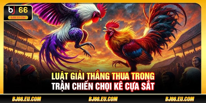 Luật giải thắng thua trong trận chiến chọi kê cựa sắt