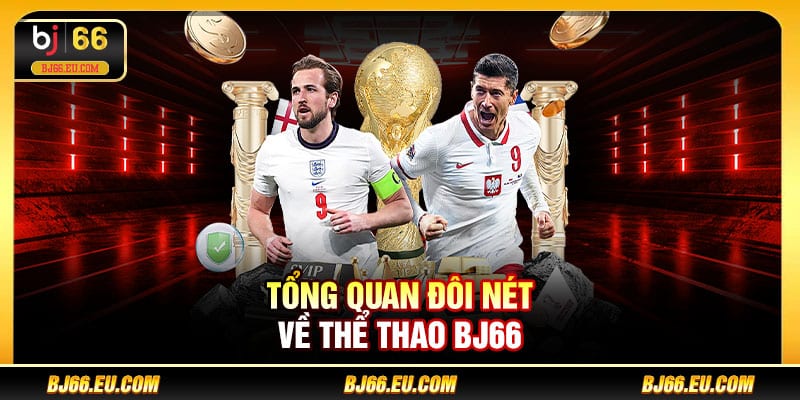 Tổng quan đôi nét về thể thao BJ66
