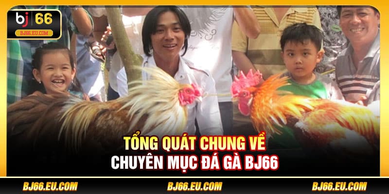 Tổng quát chung về chuyên mục đá gà BJ66