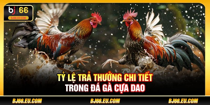 Tỷ lệ trả thưởng chi tiết trong đá gà cựa dao