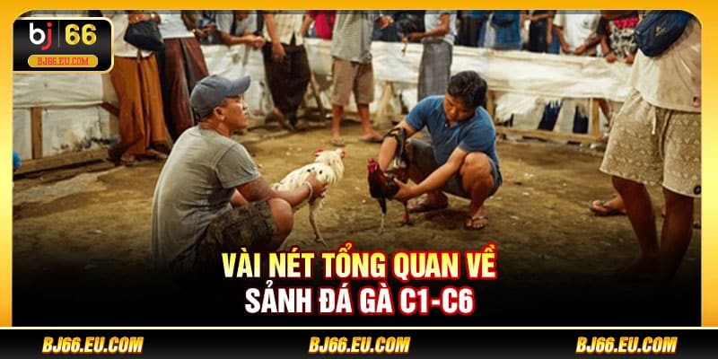 Vài nét tổng quan về sảnh đá gà C1-C6