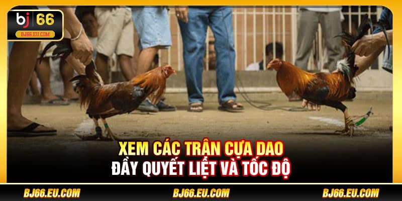 Xem các trận cựa dao đầy quyết liệt và tốc độ